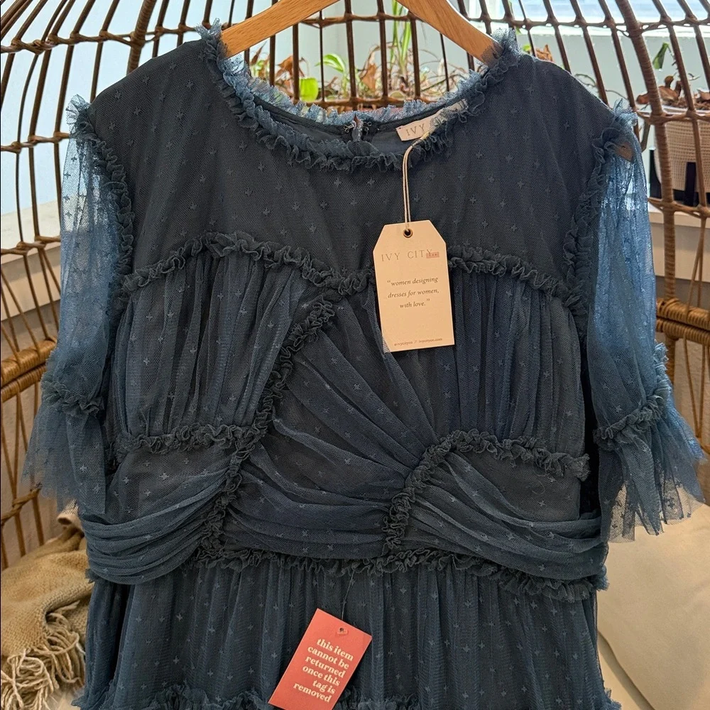 IVY CITY CO NWT slate blue LONG whimsical tulle party dress 3X - Picture 3 of 4